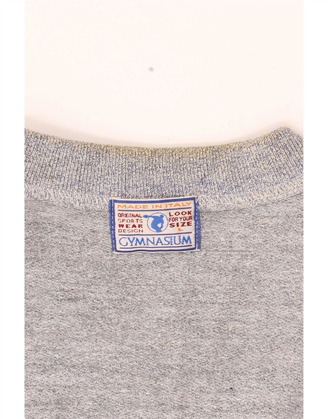 Gymnasium Mens Graphic Sweatshirt Jumper Large Blue Colourblock