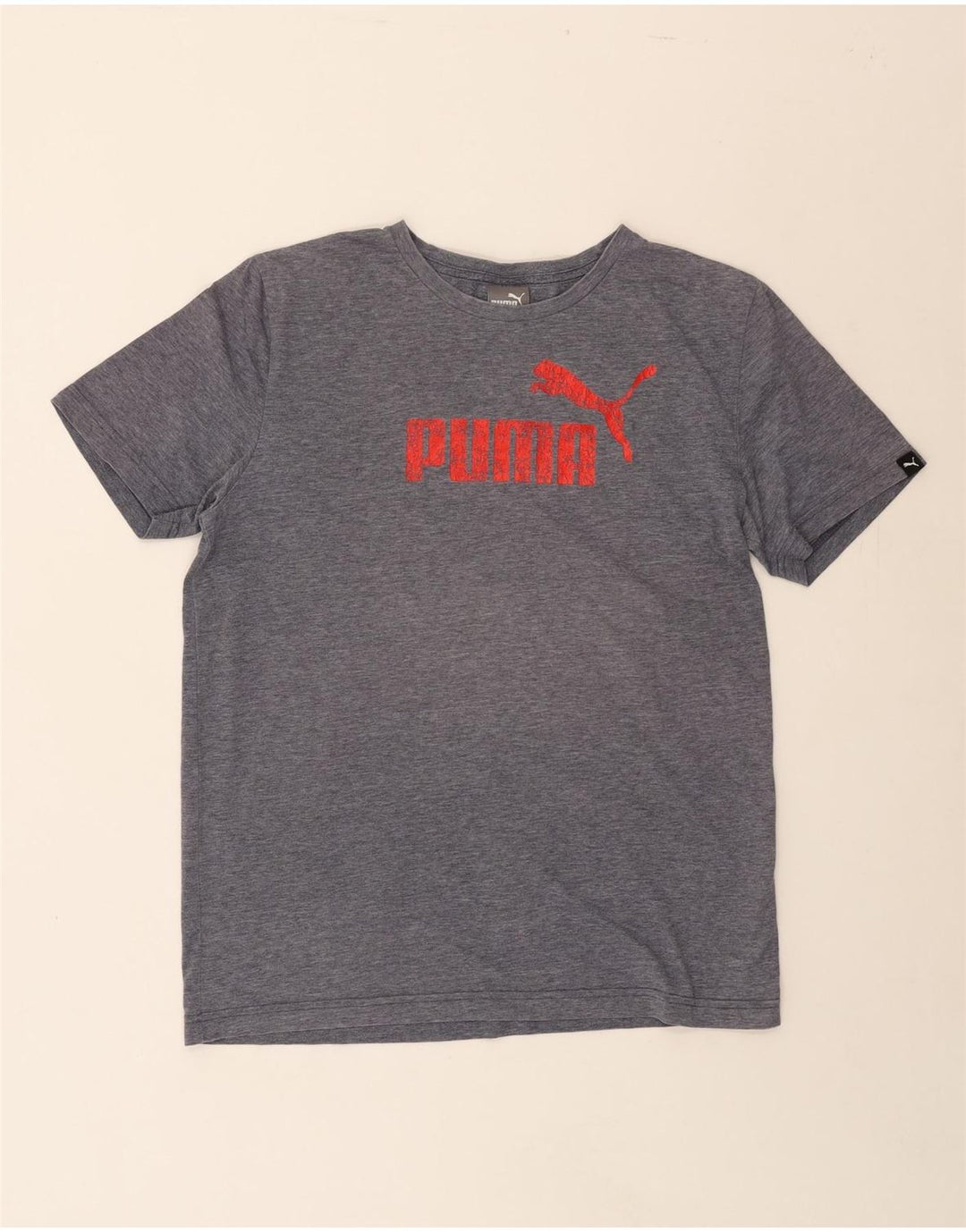 PUMA Mens Graphic T-Shirt Top Medium Grey Vintage Puma and Second-Hand Puma from Messina Hembry 