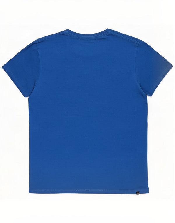 Billabong Mens Slim Fit Graphic T-Shirt Top Small Blue Cotton