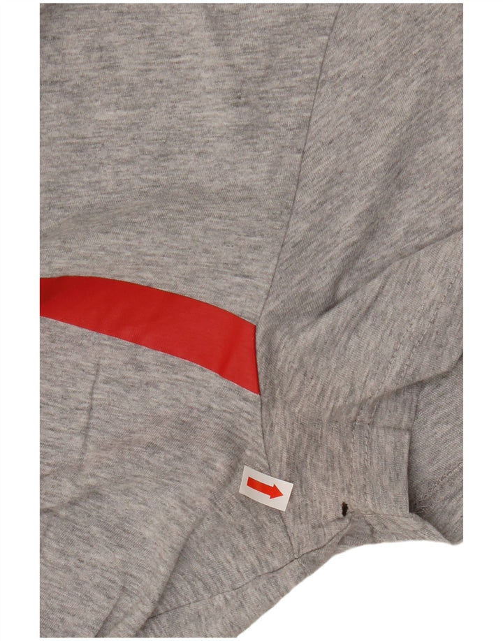 Tommy Hilfiger Mens Graphic T-Shirt Top Small Grey Cotton