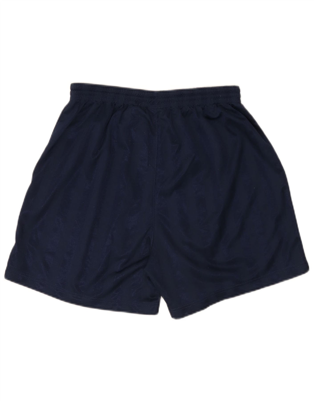Nike Mens Sport Shorts Large Navy Blue Striped Polyester