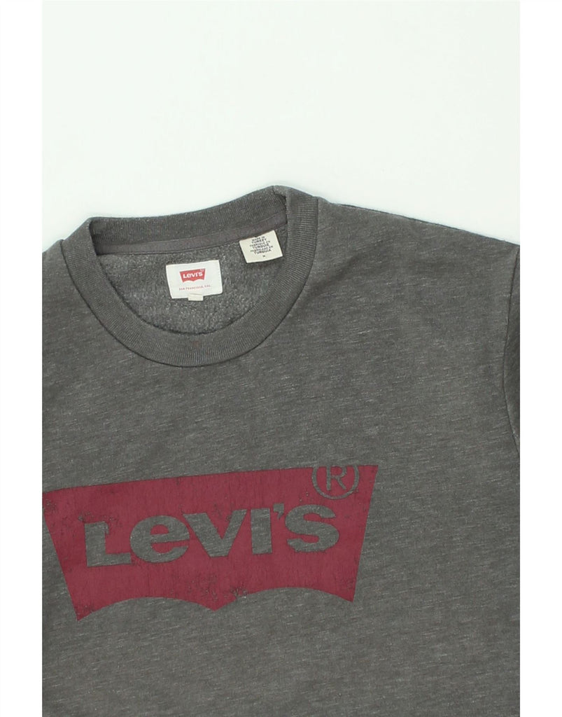 LEVI'S Mens Graphic Sweatshirt Jumper Medium Grey Cotton | Vintage Levi's | Thrift | Second-Hand Levi's | Used Clothing | Messina Hembry 