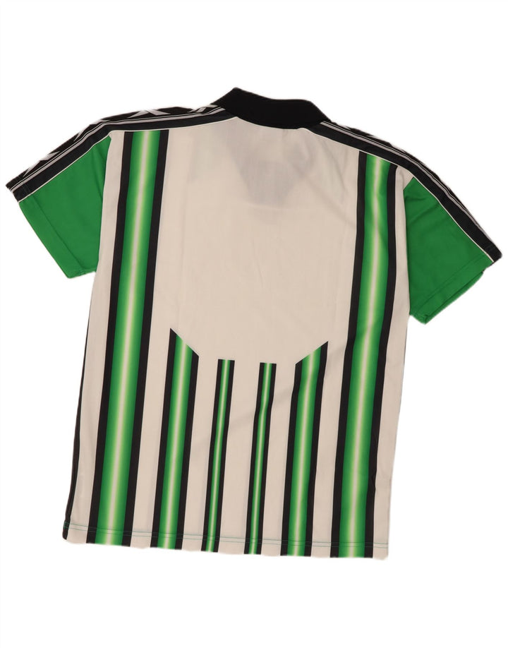Reebok Mens Graphic Polo Shirt Large Green Striped Polyester