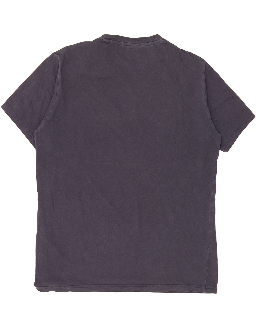 CHAMPION Mens Graphic T-Shirt Top Large Navy Blue Cotton Vintage Champion and Second-Hand Champion from Messina Hembry 