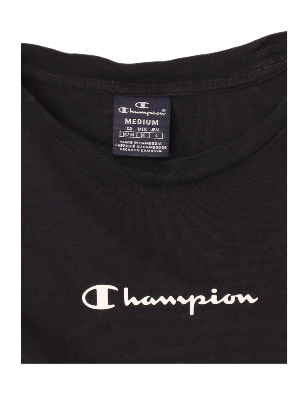 Champion Mens Graphic T-Shirt Top Medium Black Colourblock