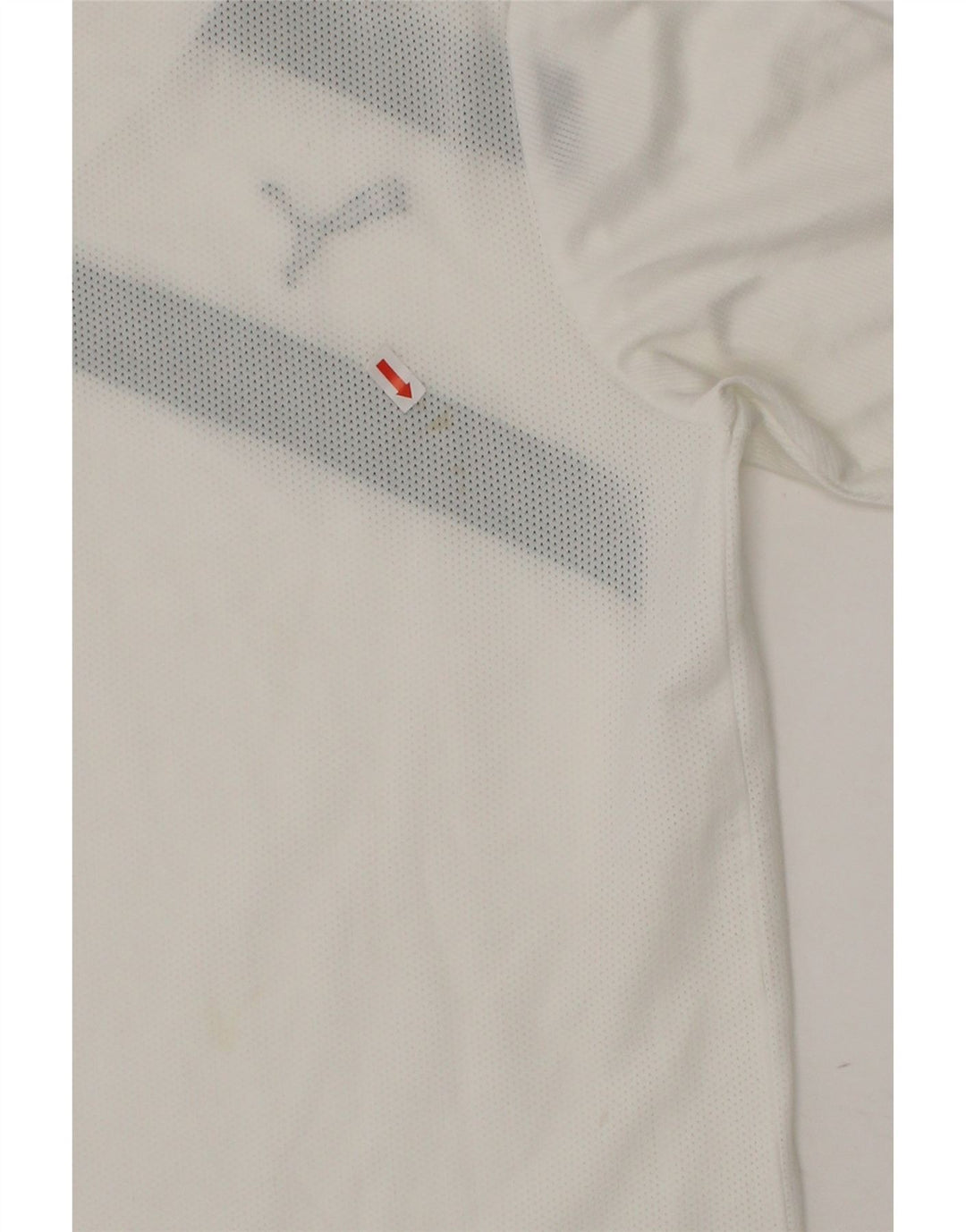 PUMA Boys Graphic T-Shirt Top 11-12 Years White Polyester Vintage Puma and Second-Hand Puma from Messina Hembry 