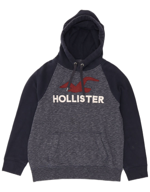 Hollister Mens Graphic Hoodie Jumper Large Navy Blue Flecked Cotton