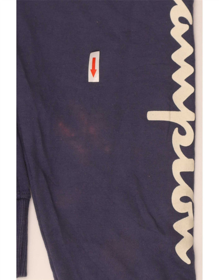 Champion Mens Graphic Regular Fit Hoodie Jumper Medium Navy Blue Cotton