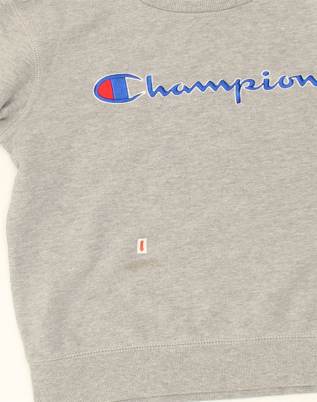 CHAMPION Womens Graphic Sweatshirt Jumper UK 12 Medium Grey Cotton | Vintage Champion | Thrift | Second-Hand Champion | Used Clothing | Messina Hembry 
