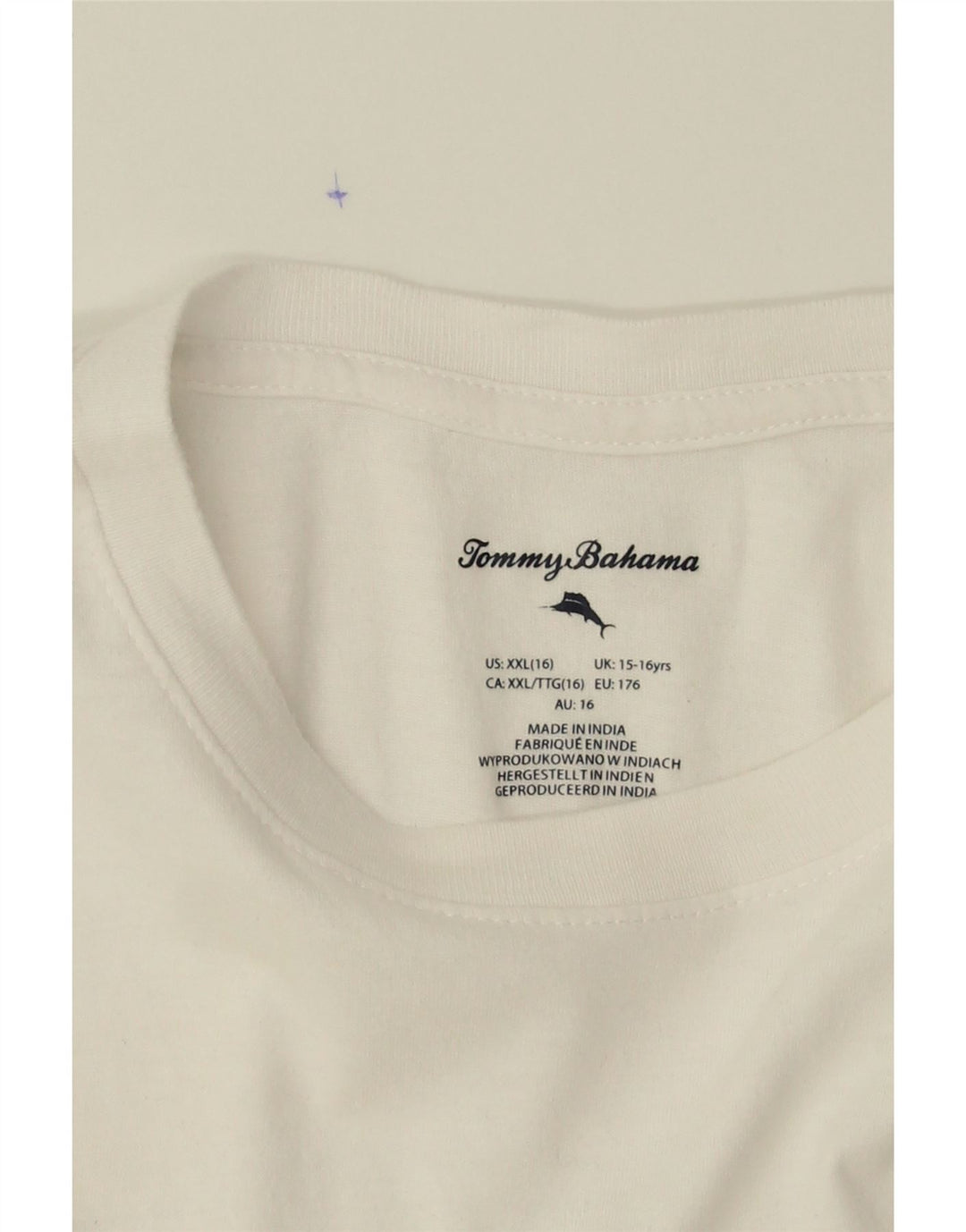 TOMMY HILFIGER Boys Graphic T-Shirt Top 15-16 Years White Vintage Tommy Hilfiger and Second-Hand Tommy Hilfiger from Messina Hembry 