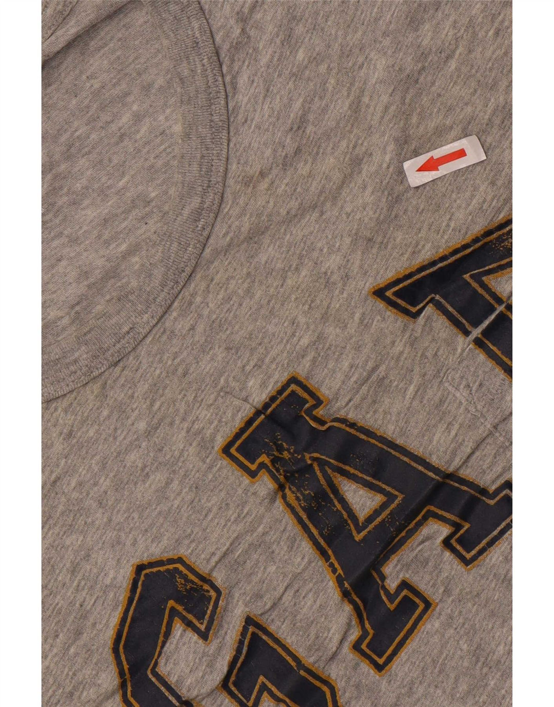 Gap Mens Graphic T-Shirt Top Large Grey