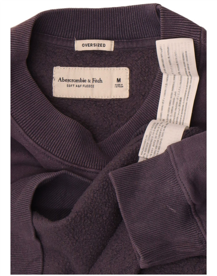 Abercrombie & Fitch Womens Hudson Graphic Sweatshirt Jumper Medium Purple
