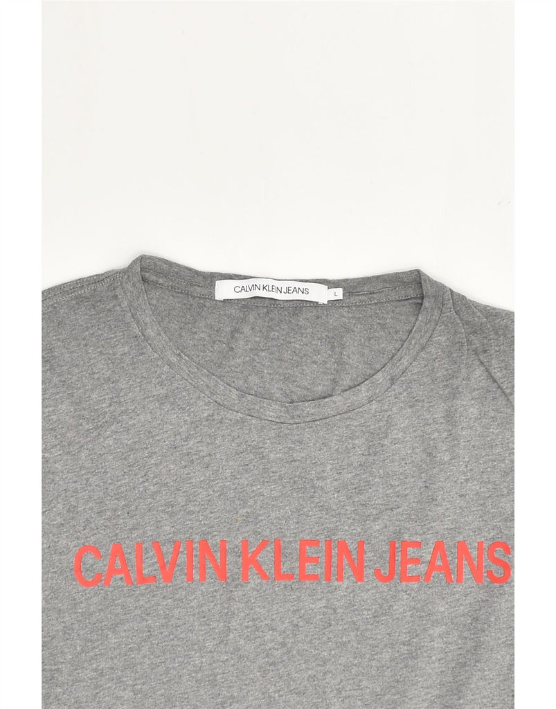 CALVIN KLEIN Mens Graphic T-Shirt Top Large Grey Cotton | Vintage Calvin Klein | Thrift | Second-Hand Calvin Klein | Used Clothing | Messina Hembry 