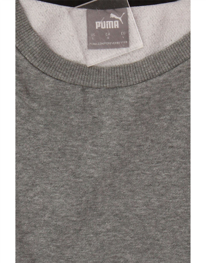 Puma Mens Graphic Sweatshirt Jumper Large Grey Colourblock