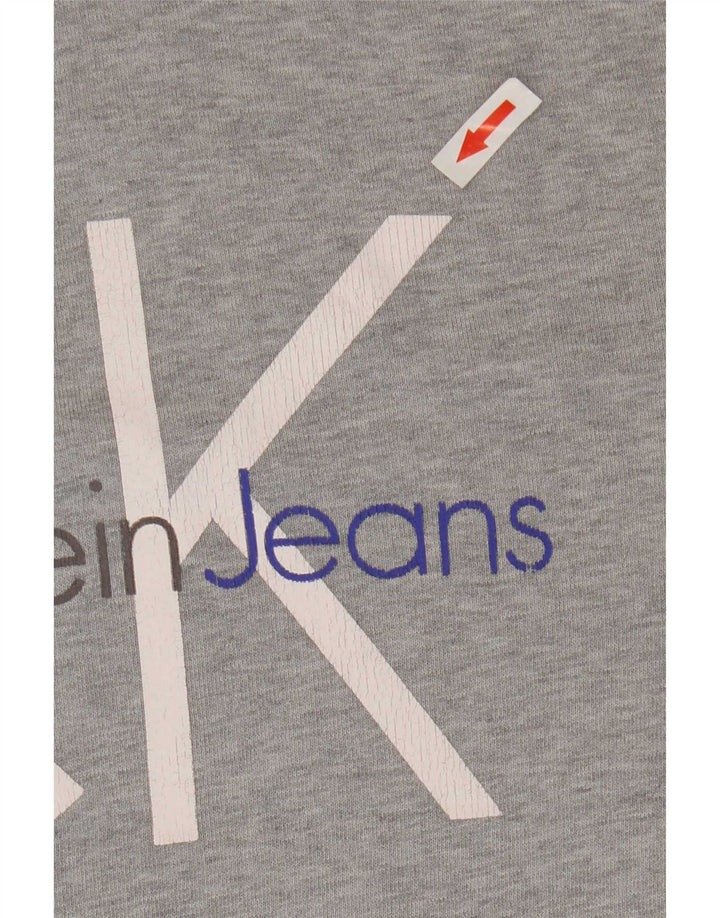 Calvin Klein Jeans Mens Graphic Hoodie Jumper Medium Grey