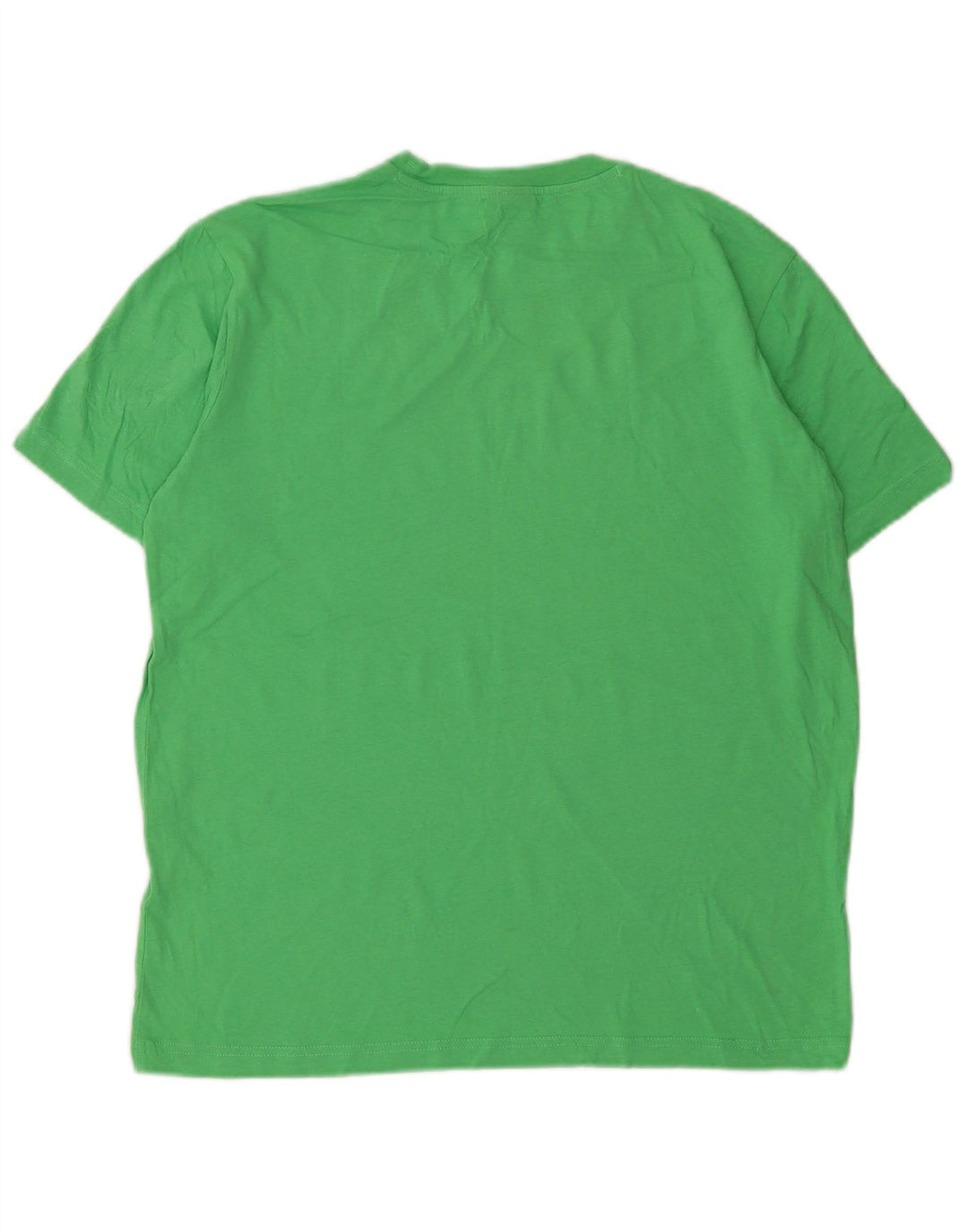 Champion Mens T-Shirt Top Small Green