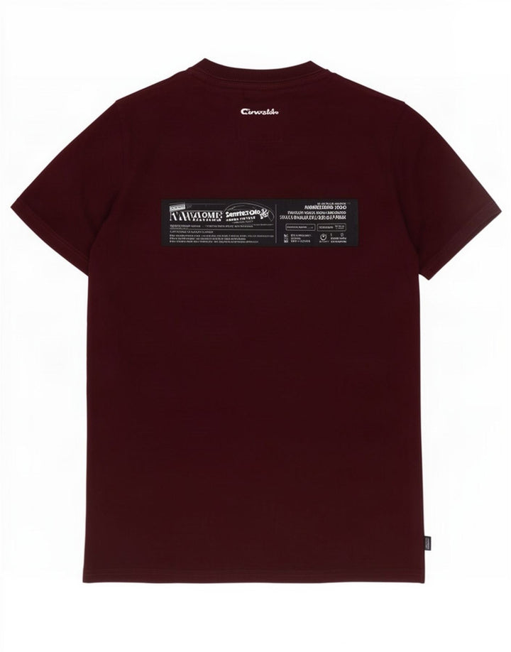 Superdry Mens Graphic T-Shirt Top Large Maroon Cotton