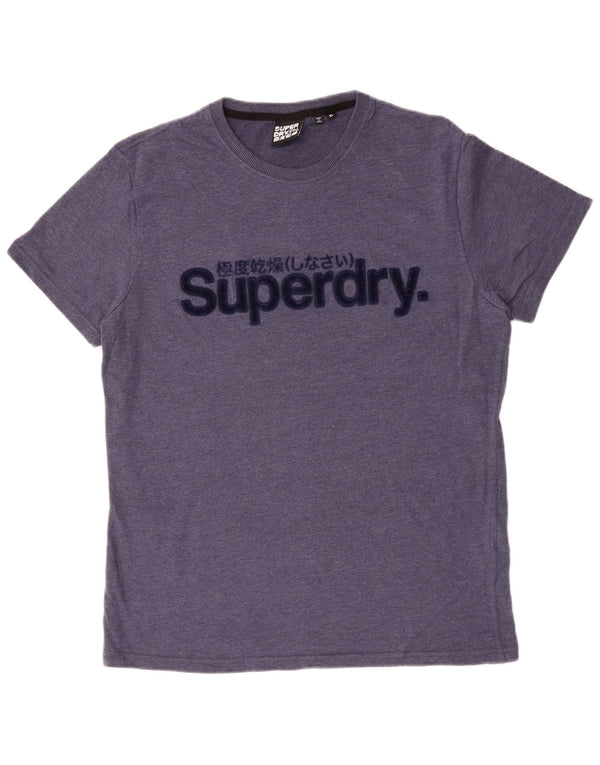SUPERDRY Mens Graphic T-Shirt Top XL Blue Cotton