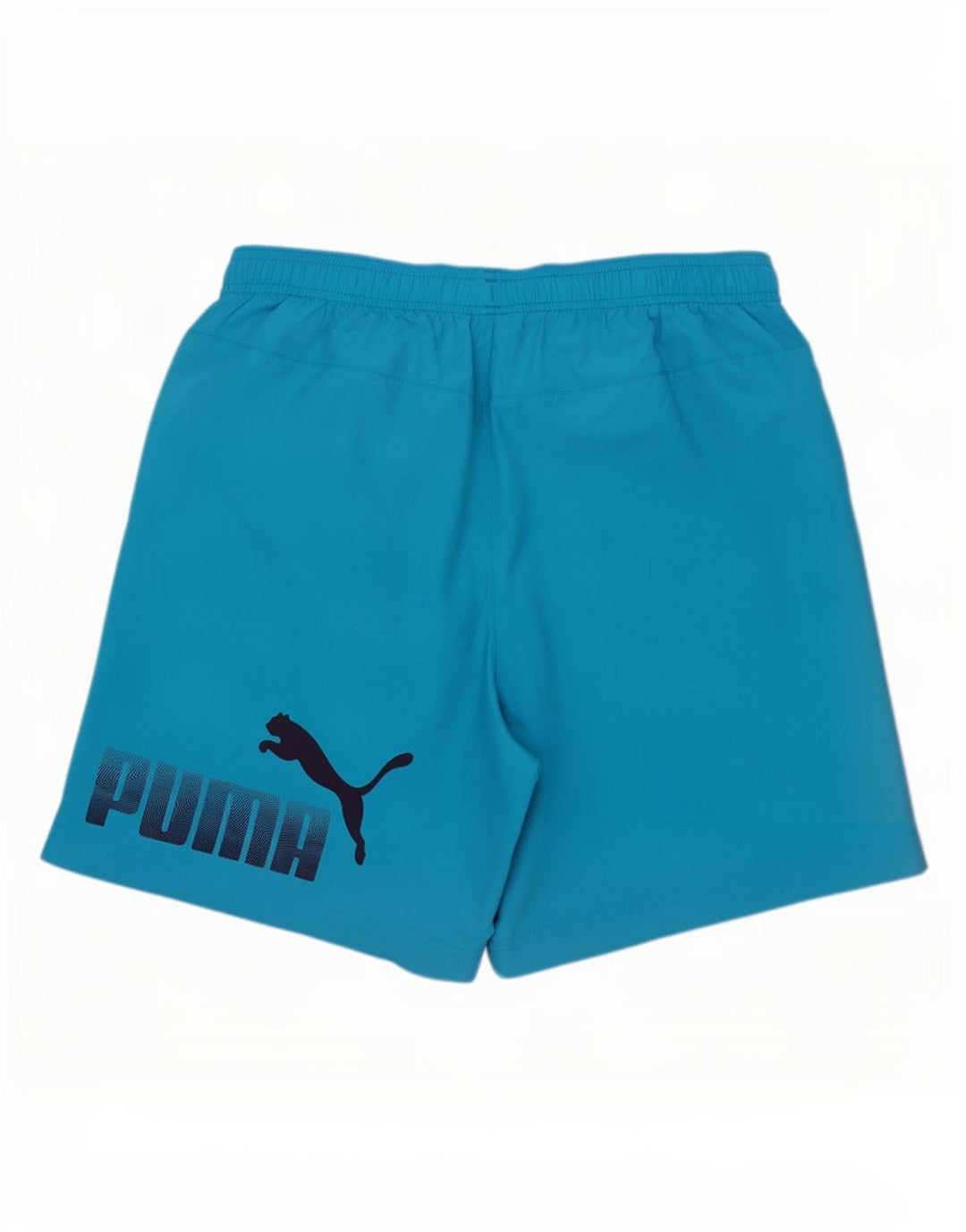 Puma Mens Graphic Sport Shorts Medium Blue