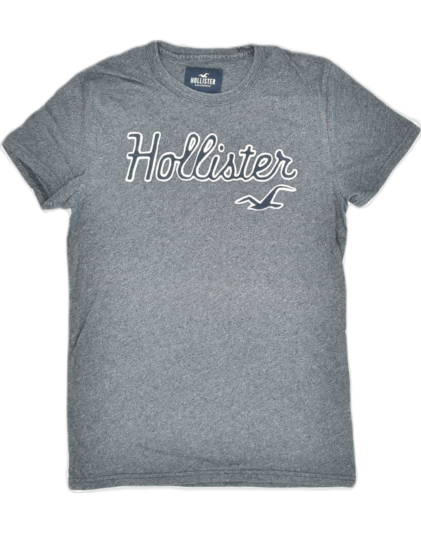 HOLLISTER Mens Graphic T-Shirt Top Small Grey Cotton, Vintage &  Second-Hand Clothing Online
