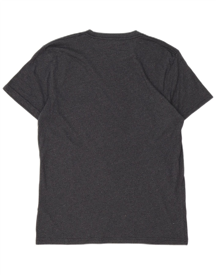 HOLLISTER Mens T-Shirt Top Small Grey Cotton