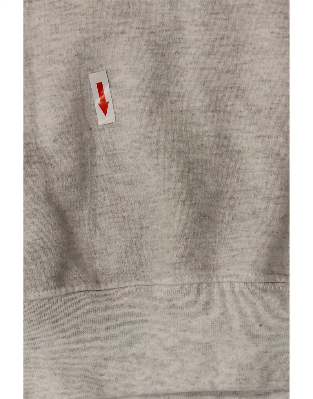 Champion Mens Graphic Sweatshirt Jumper Medium Grey Cotton