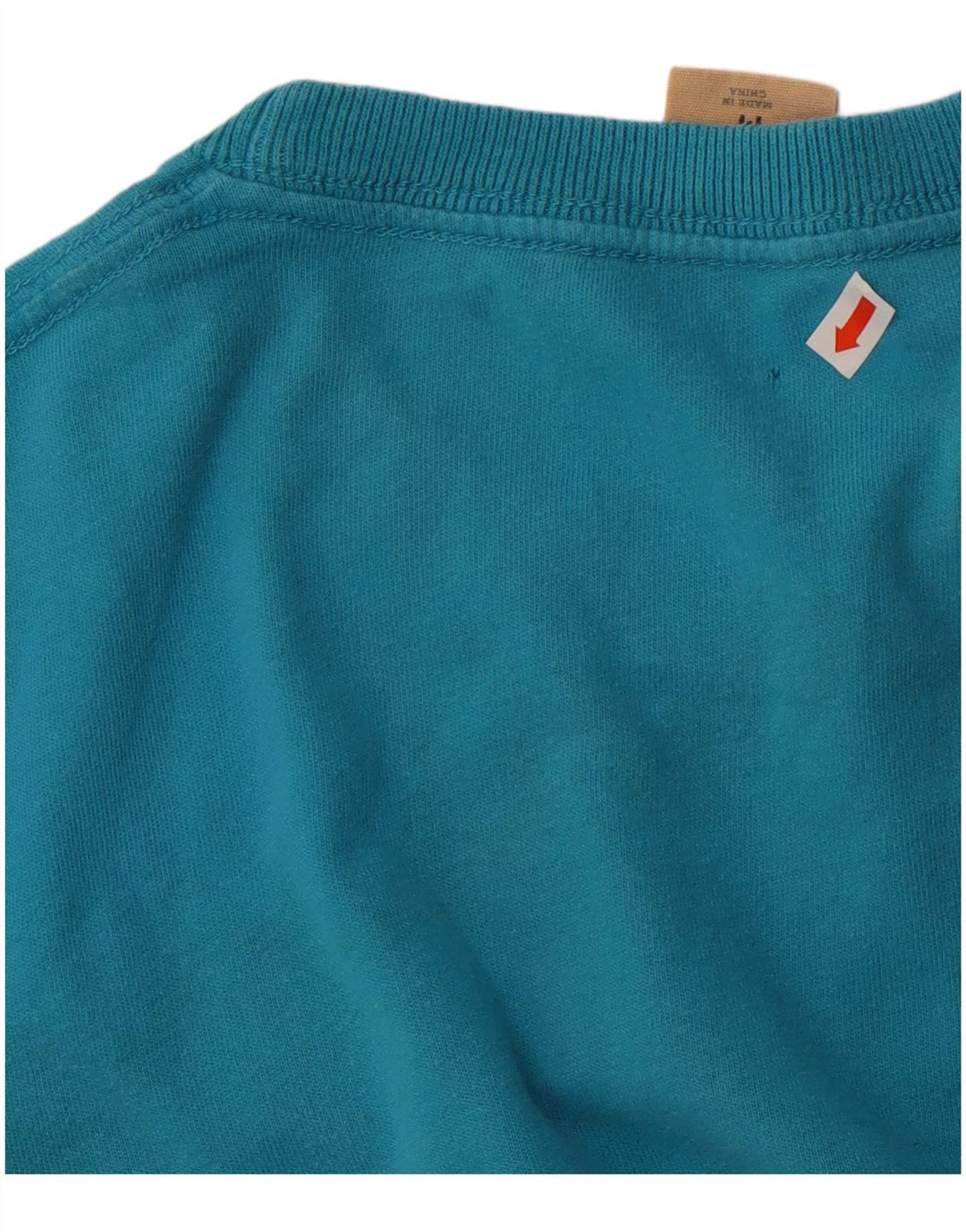 Hollister Mens Graphic T-Shirt Top Medium Blue Cotton