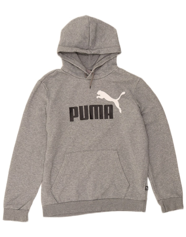 Puma Mens Graphic Hoodie Jumper Small Grey Cotton
