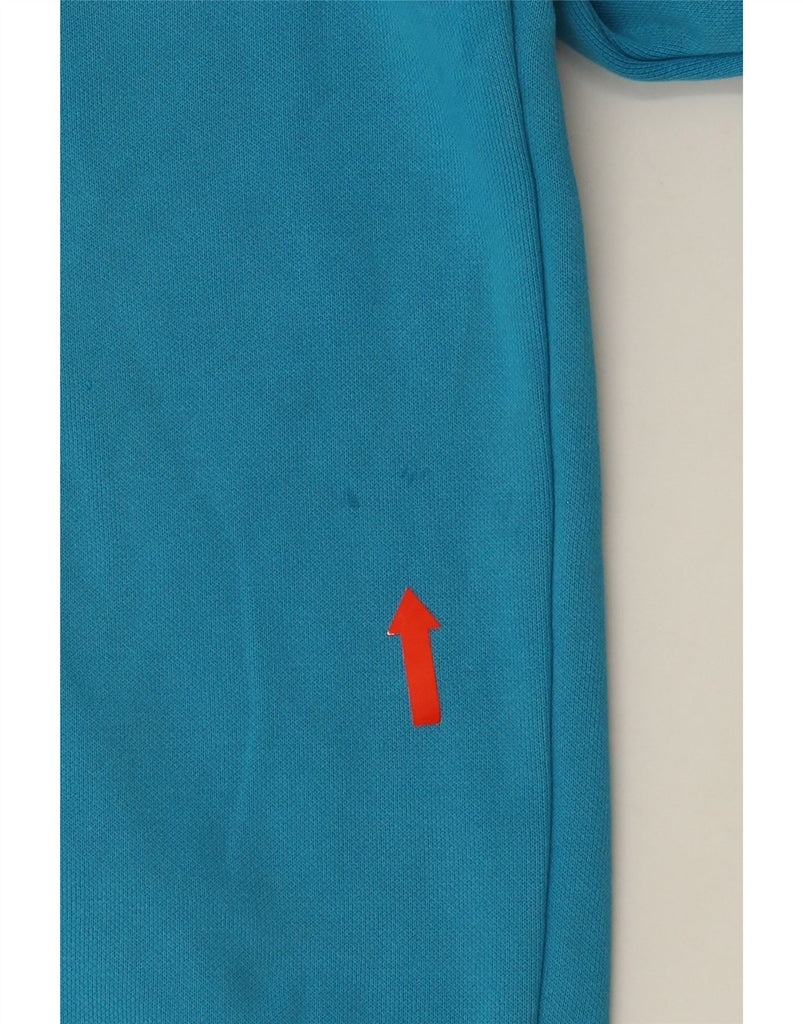PUMA Mens Graphic Hoodie Jumper Small Blue Cotton Vintage Puma and Second-Hand Puma from Messina Hembry 