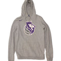 NIKE Mens NBA Graphic Hoodie Jumper Small Grey Cotton Vintage Nike and Second-Hand Nike from Messina Hembry 