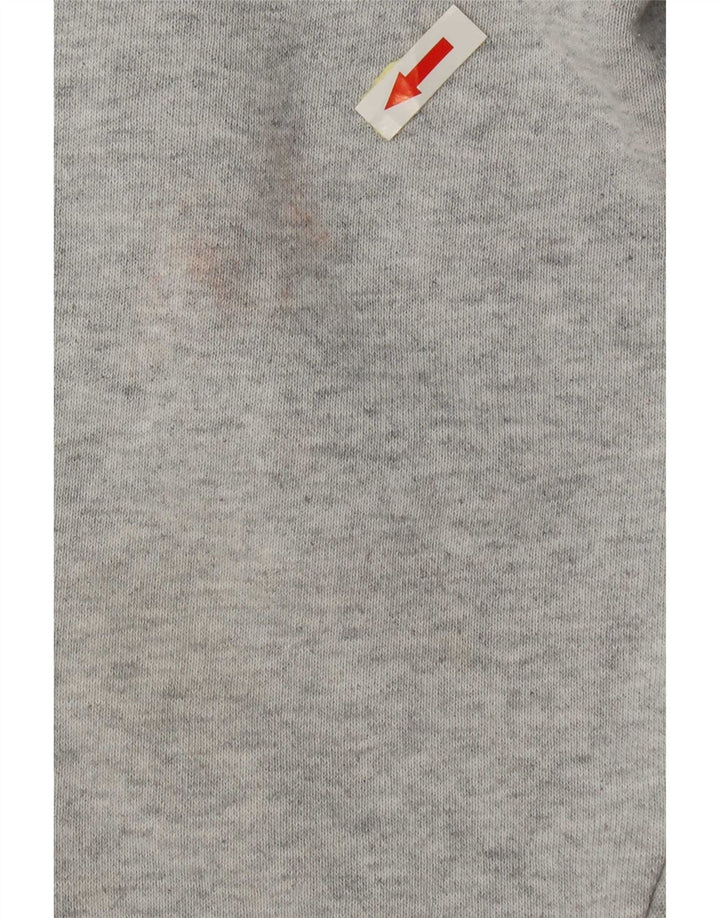 Champion Mens Sweatshirt Jumper Large Grey Cotton