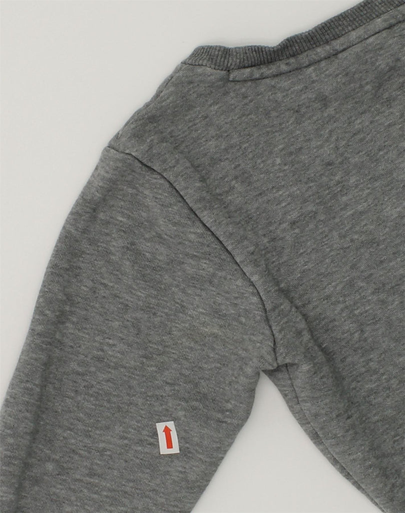 PUMA Boys Graphic Sweatshirt Jumper 7-8 Years Grey Cotton | Vintage Puma | Thrift | Second-Hand Puma | Used Clothing | Messina Hembry 