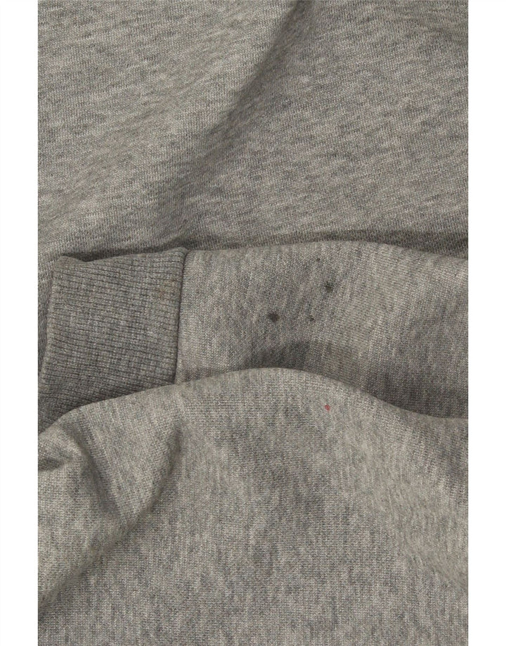 Puma Mens Graphic Hoodie Jumper Small Grey Cotton