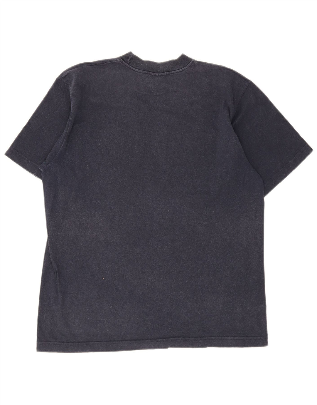 Champion Mens Graphic T-Shirt Top Medium Navy Blue