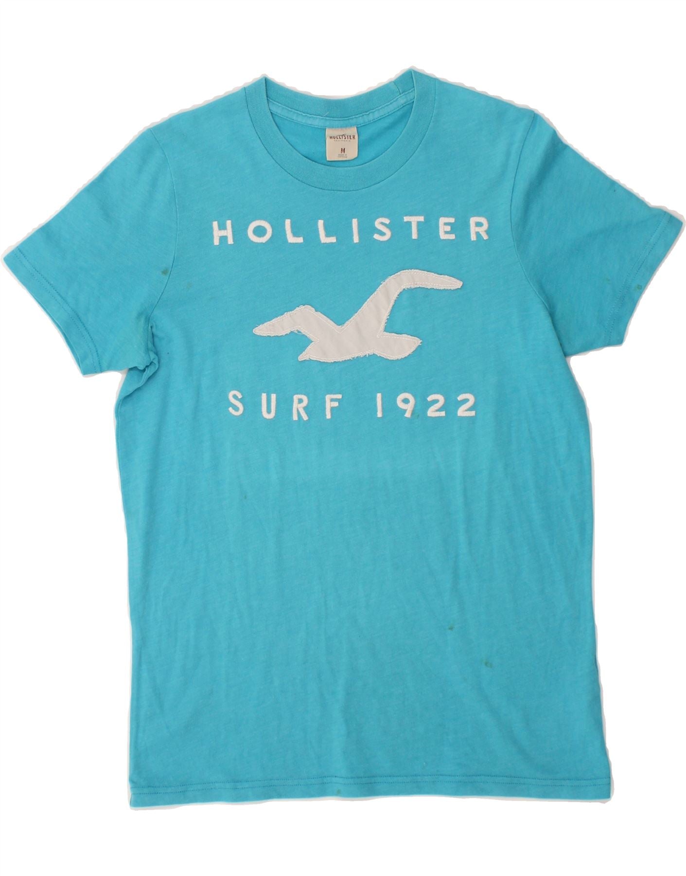 Hollister 1922 t shirt deals