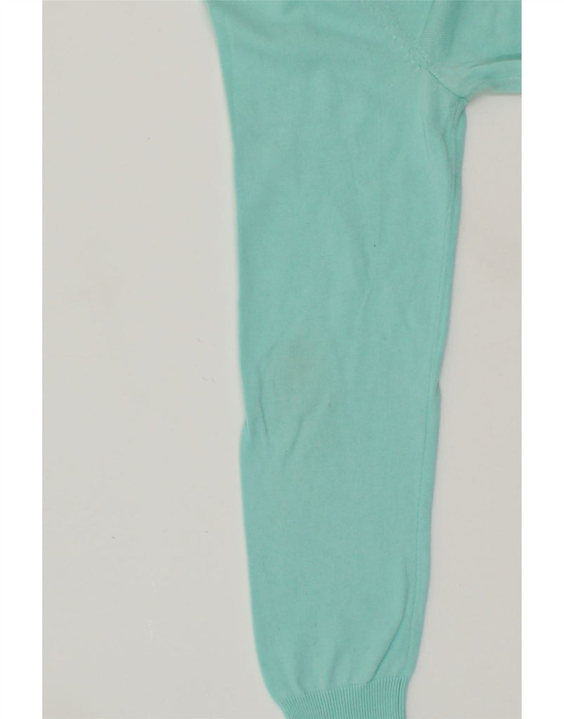 TOMMY HILFIGER Mens V-Neck Jumper Sweater Medium Turquoise Cotton Vintage Tommy Hilfiger and Second-Hand Tommy Hilfiger from Messina Hembry 