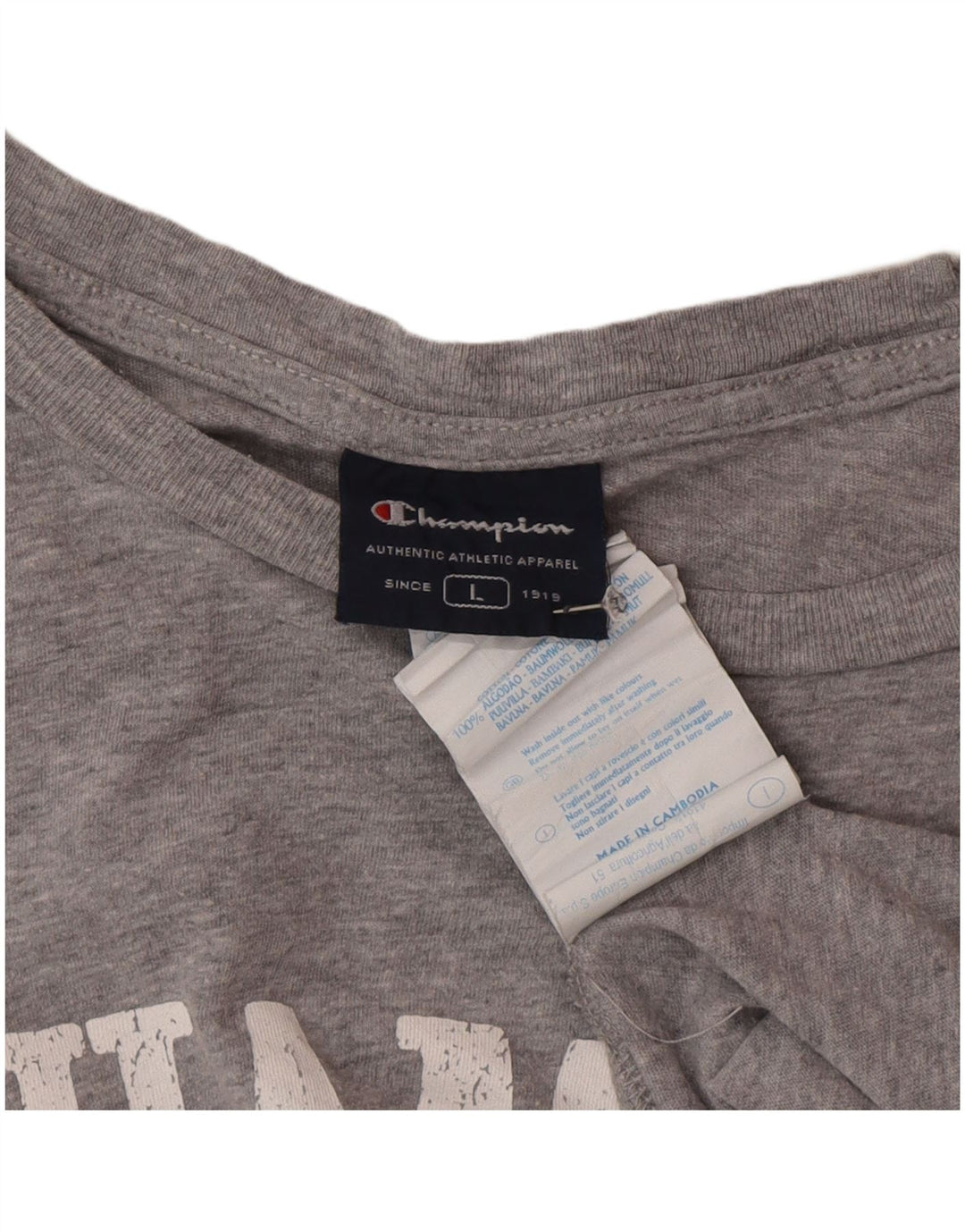 Champion Mens Rochester Graphic T-Shirt Top Large Grey Cotton