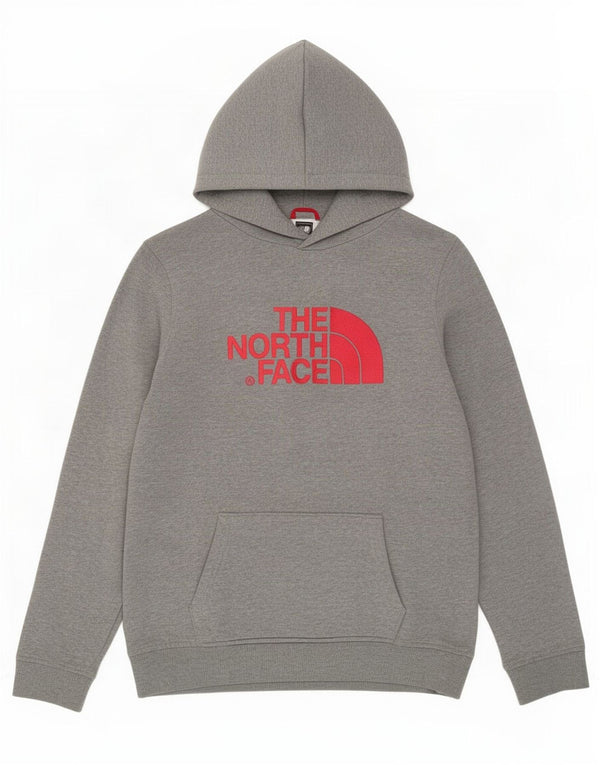 The North Face Boys Graphic Hoodie Jumper 14-15 Years XL Grey Flecked