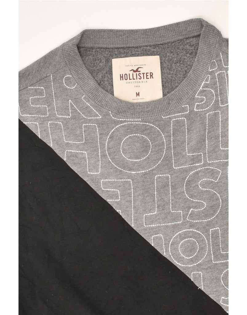 HOLLISTER Womens California Graphic Sweatshirt Jumper UK 14 Medium Grey | Vintage Hollister | Thrift | Second-Hand Hollister | Used Clothing | Messina Hembry 