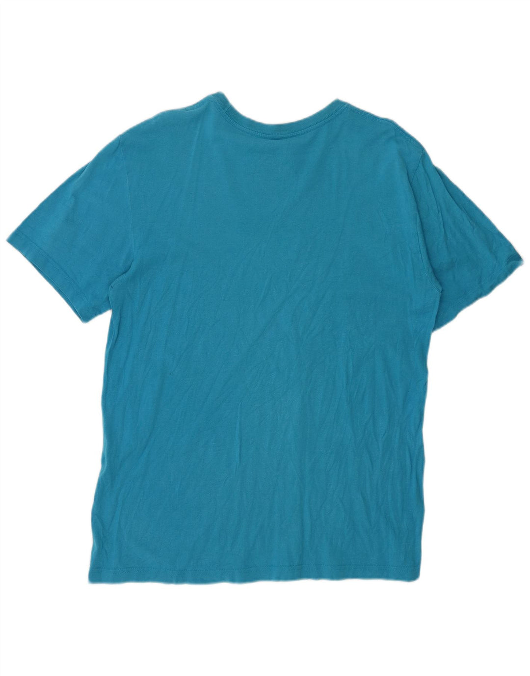 NIKE Mens Regular Fit Graphic T-Shirt Top Large Blue