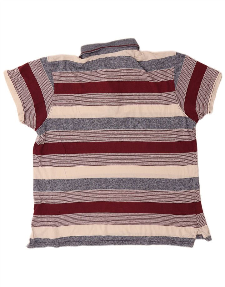 Pierre Cardin Mens Regular Fit Polo Shirt Large Multicoloured Striped