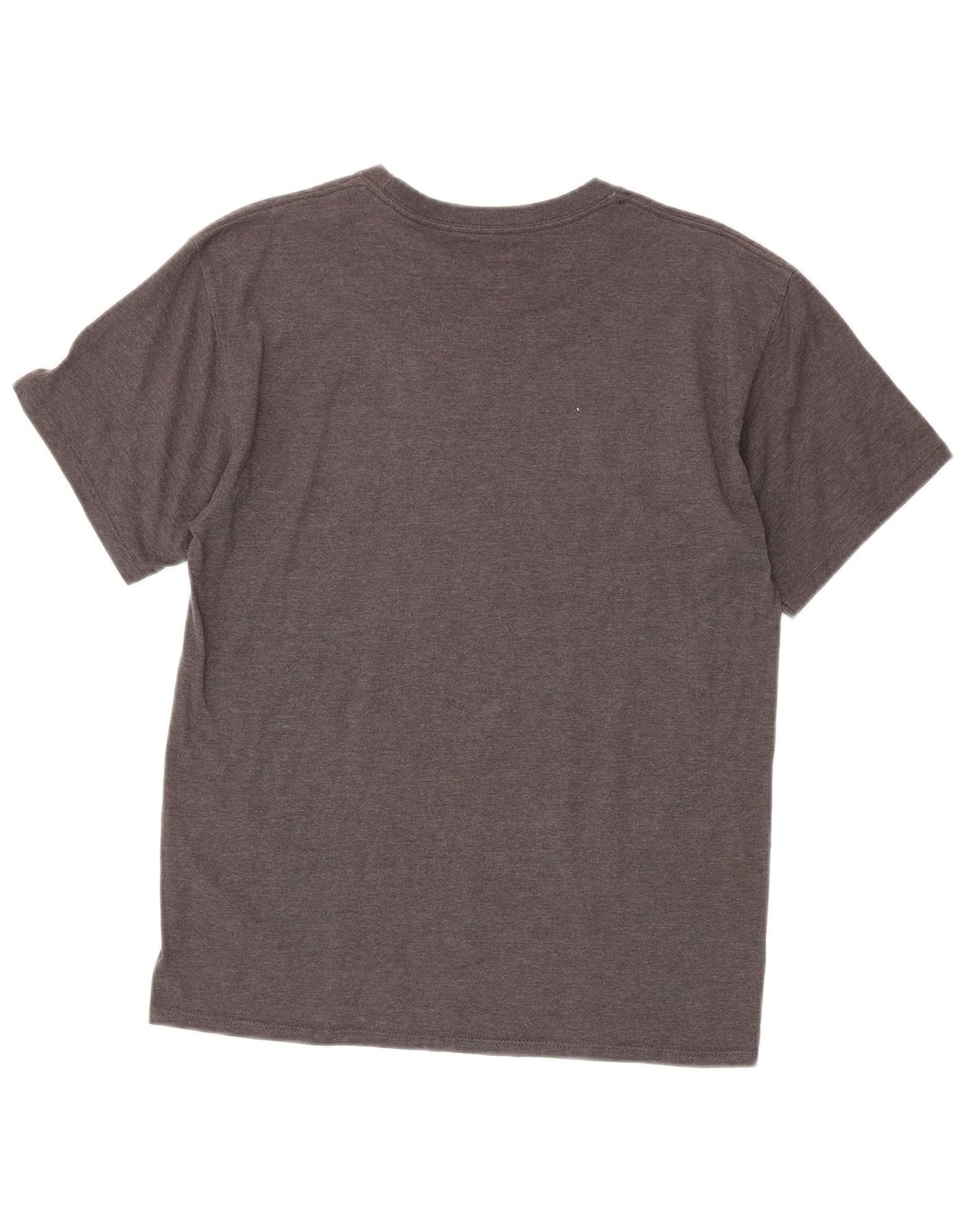 Champion Mens Graphic T-Shirt Top Medium Grey
