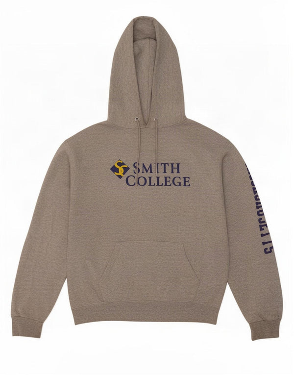 Champion Mens Smith College Massachusetts Hoodie Jumper Medium Grey Flecked
