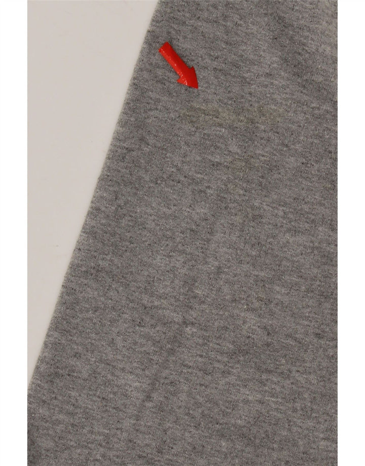 Champion Mens Graphic Sweatshirt Jumper Small Grey Cotton