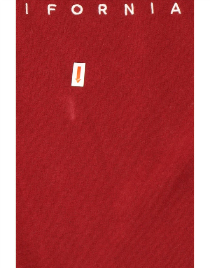 HOLLISTER Mens Graphic Sweatshirt Jumper Large Burgundy Cotton