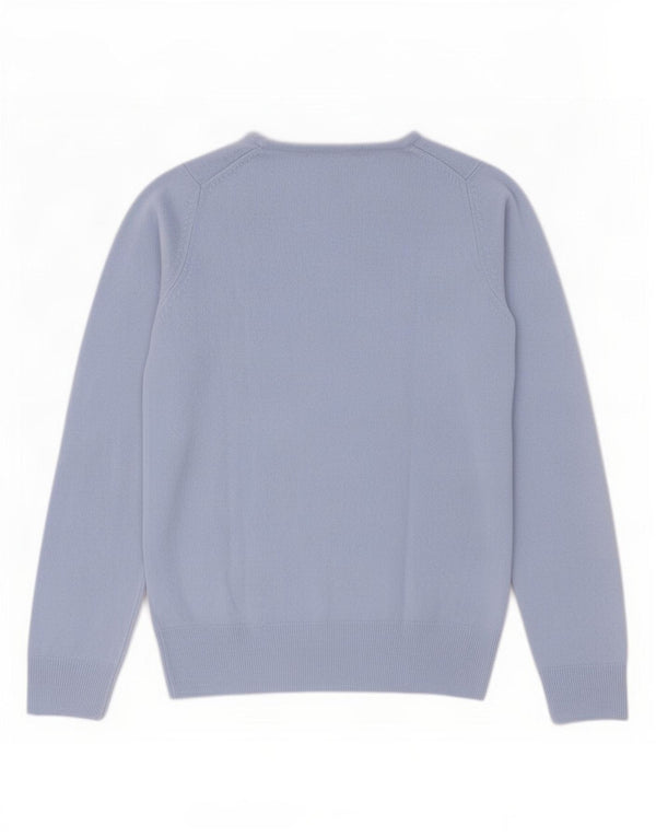 Marks & Spencer Womens Crew Neck Jumper Sweater UK 8 Small Blue Acrylic