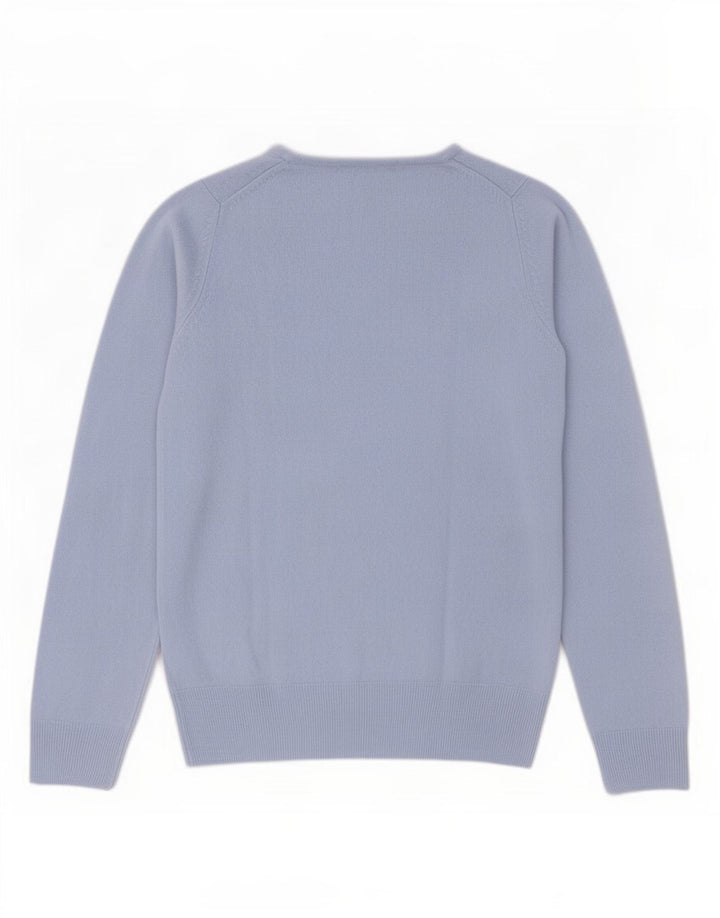 Marks & Spencer Womens Crew Neck Jumper Sweater UK 8 Small Blue Acrylic