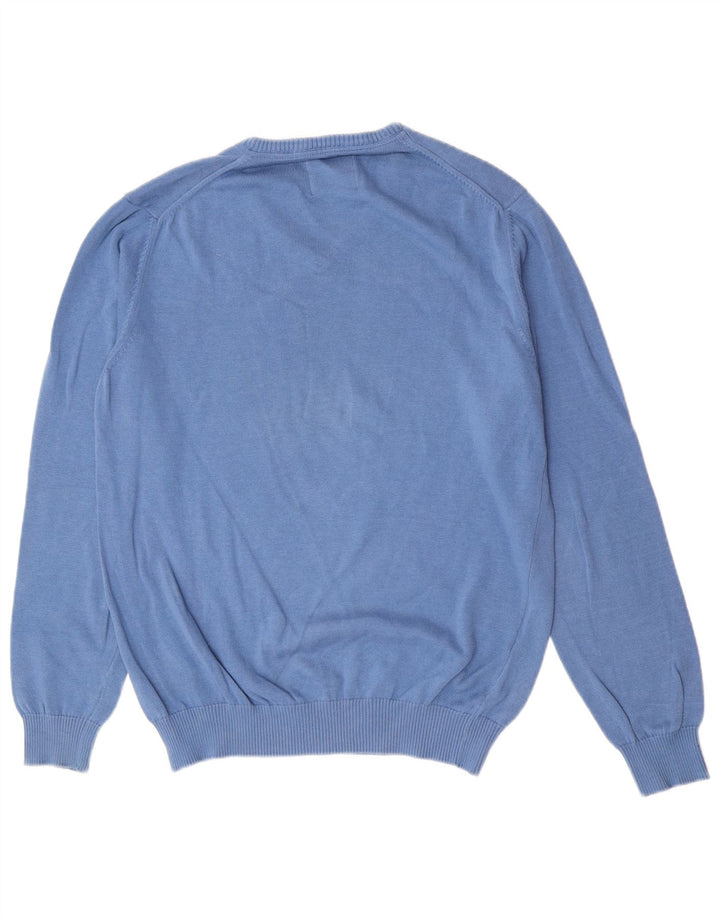 PEPE Jeans Mens V-Neck Jumper Sweater Medium Blue Cotton