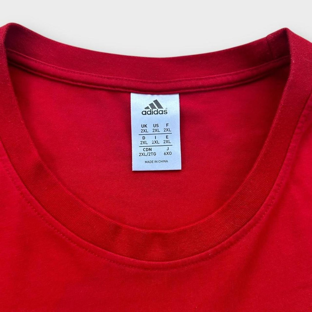 Lions rugby tee - XXL