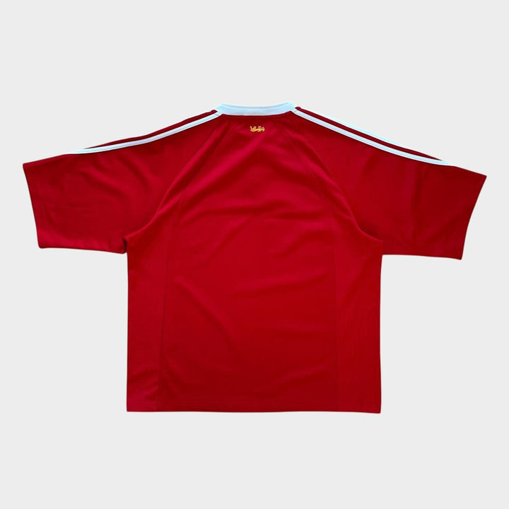 Vintage Lions rugby top - XL